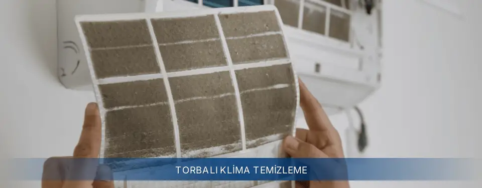 Torbalı İlçemi Electrolux Klima Temizleme